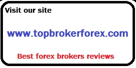 top forex broker 2013