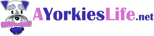 a yorkies life logo