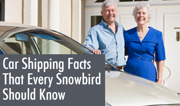 Ship A Car Direct Releases Inforgraphic To Explain 4 Facts Snowbirds Must Know About Car Shipping