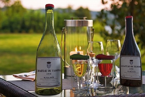 Wineova Plastic Wine Glasses are the Perfect Choice for Outdoor Wine Lovers