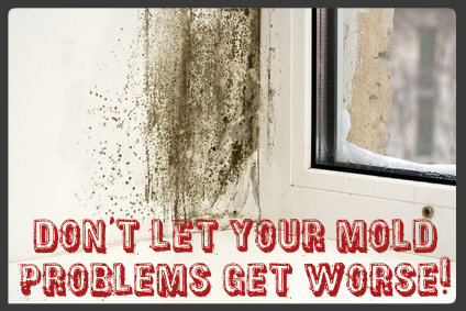 Mold Remediation Pros Creates Corporate Partnership With Canadian Mold Removal Specialists