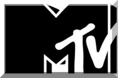 MTV, VH1 Give Fans An All Access Pass To Summer’s Hottest Music Festivals