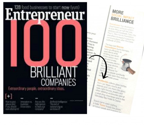 BluMarble Featured In Entrepreneur.com June Issue 100 Brilliant Companies