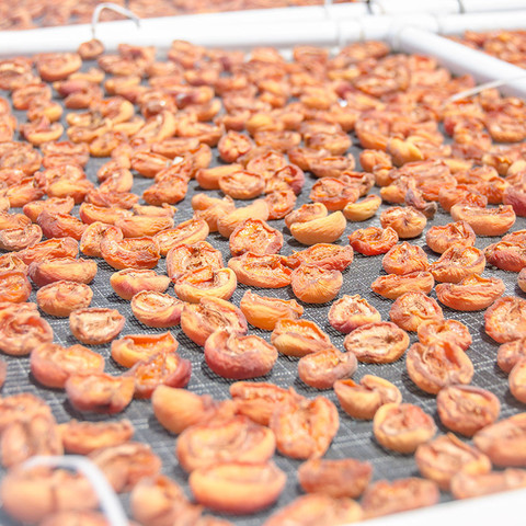 New Crop of Non-Sulfur Dried Apricots Are Now Shipping from Frog Hollow Farm