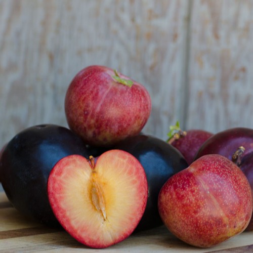 Largest Crop Ever of the Supreme Pluot, Flavor King, Is Now Shipping from Frog Hollow Farm