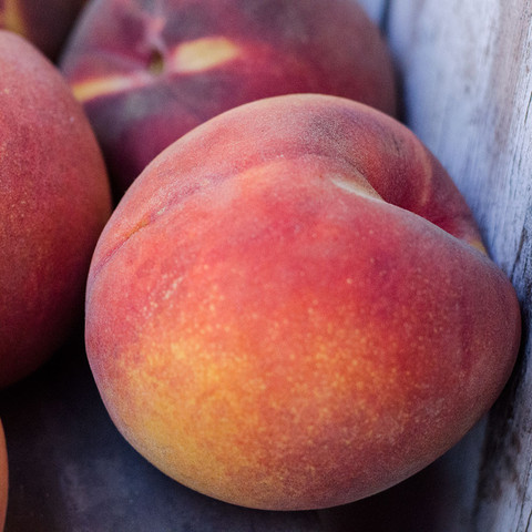 Frog Hollow Farm Is Now Shipping the O’Henry, Maybe the Finest All-Around Peach in the World