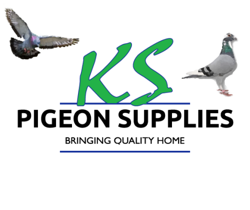 KS Pigeon Supplies Publishes Comprehensive New Online Guide to Pigeon Nutrition