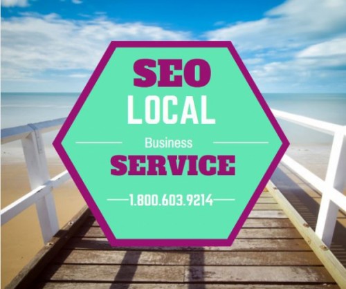 Brooklyn New York Local Business SEO Infographic & Video Service Launched