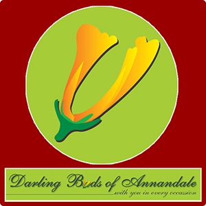 Fresh flowers delivery to Newtown by local florist Darling Buds of Annandale