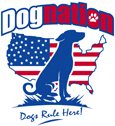 DogNation Announces Their Second Annual Best Friend’s Friend Dog Shelter Contest
