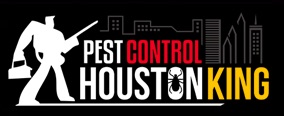 Remove Those Bugs Launches New Website To Promote Houston Extermination Services Online