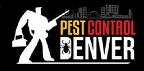 Eradicate Those Bugs Website Launched By Pest Control Denver To Promote Their Services Online