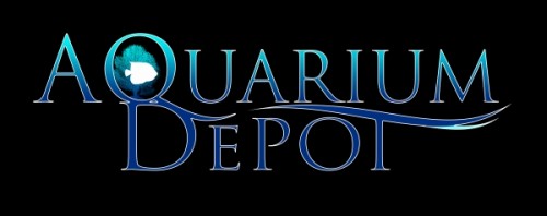 Ralph Slaske Announces New Review of Aquarium Depot Amphipods