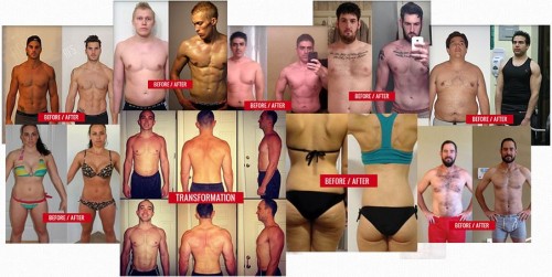 Omega Body Blueprint System by John Romaniello Exposes 4-Method Fat Burning Techniques Blueprint – UsersReviewGuide.com