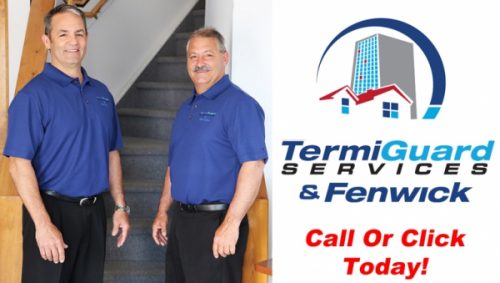 How TermiGuard’s Dehumidification Service Plan Proudly Risks Defying Convention