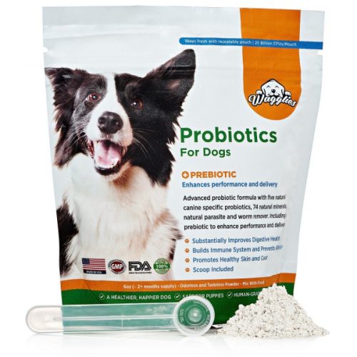 Brand New Custom Formula Probiotics For Dogs Launched By Dog Brand