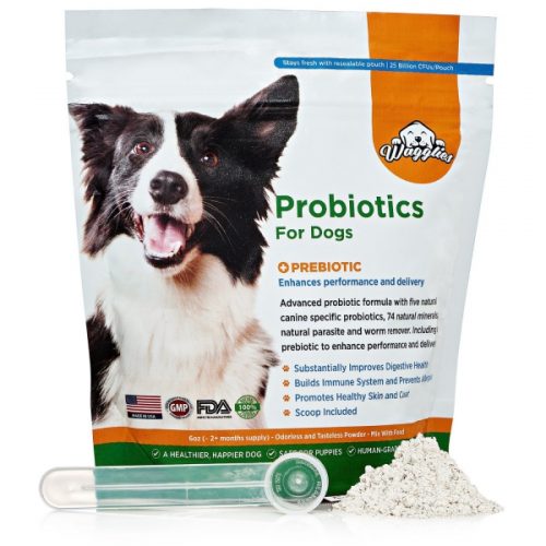 Brand New Probiotics For Dogs Receive First Few Amazon Orders