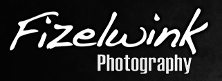 Fizelwink Photography Named Among Three Best Rated’s Top Wedding Photographers