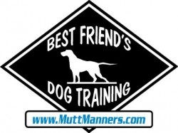 MuttManners.com Launches a Dog Training Awareness Campaign