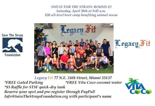 Save the Strays and Legacy Fit Team Up for “Sweat for the Strays Round 2”