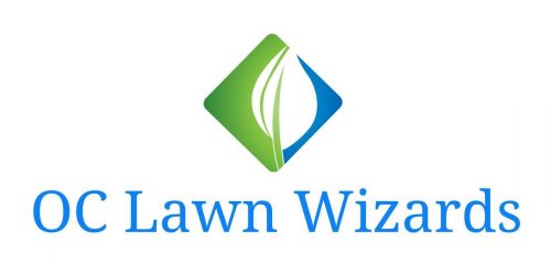 OC Lawn Wizards Celebrates The Launch Of Their New Company