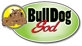 Bull Dog Sod Introduces Free Quote Website Feature