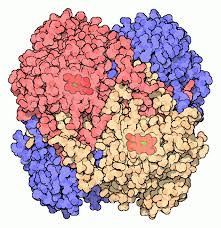 Creative Enzymes Declared Its Catalase Will Be Put Into Industrial Use