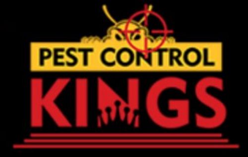 Destroy Those Bugs Launches New Website To Promote Pest Extermination Services In Dayton, Ohio