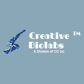 Creative Biolabs Releases Antibody-drug Conjugates for Drug Development