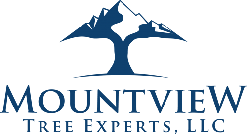 Mountview Tree Experts Announces They Are Open for Business