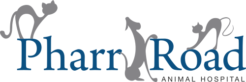 Pharr Road Animal Hospital Offers Local Vet Tips For Warm Weather Pet Safety