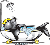 WA Assett Launches a Small Bathroom Renovation Campaign