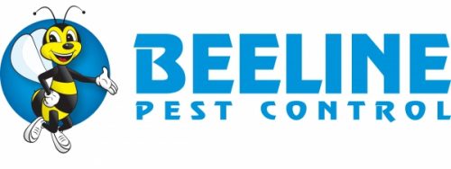 Pest Control Company in Salt Lake City Utah Expands Service to Provo & Orem