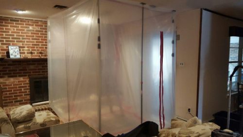 Mold Removal Article Reveals Surprising Facts for New Jersey Home Owners