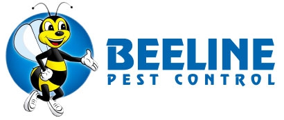 Pest Control & Exterminator Services Company In Denver & Colorado Springs