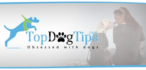 Top Dog Tips Publishes Huge New Midsummer Update