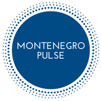 Montenegro Pulse Launches New Website