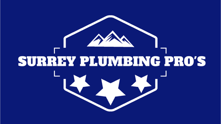 Surrey Plumbing Pros Reports on the High Cost of Home Ownership in BC