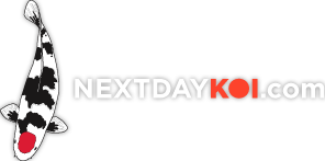NextDayKoi.com Joins Efforts To Save U.S. Koi Industry