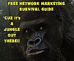 Network Marketing (MLM) Success Free Report Released By Pro Shopping Service