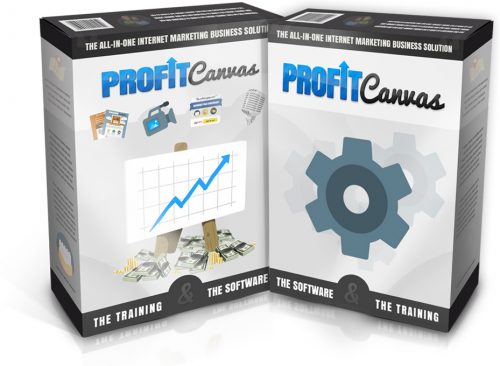 Profit Canvas brings forth a revolution in website designing in this financial year!