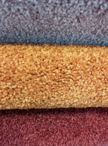 Livermore Carpet Cleaning Owner Says Bacteria And Mites Love Living in Carpets