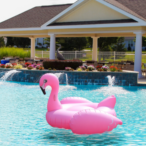 Inflatable Flamingos Flooded With Positive Reviews After Successful Sales