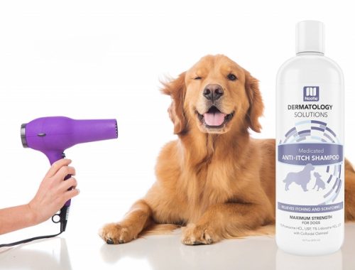 Nootie Oatmeal Shampoo for Dogs with Dry Skin Treats Dermatitis, Say Customers