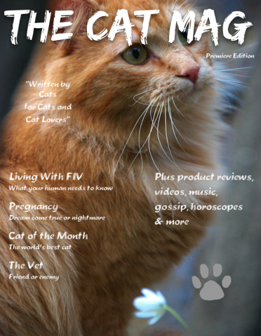 The Cat Mag, The First Magazine Entirely Written By Cats Debuts This Month