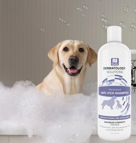 All Natural Dog Shampoo from Nootie Minimizes “Wet Dog” Smell, Say Customers