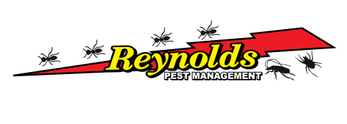 Reynolds Pest Management Announces Organic Pest Control Program