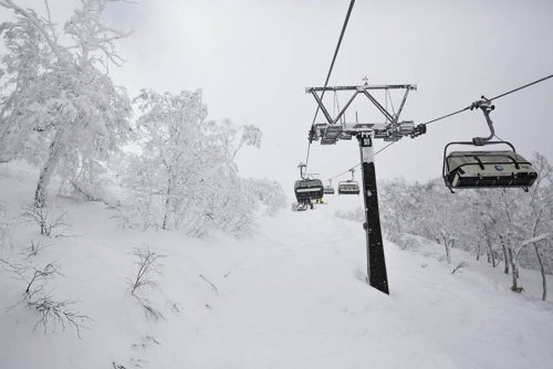 Missing Australian Family Found: Keeping Safe When Skiing & Snowboarding in Japan