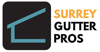 Surrey Gutter Roof Cleaning Window Cleaners Strata Maintenance Services Launched