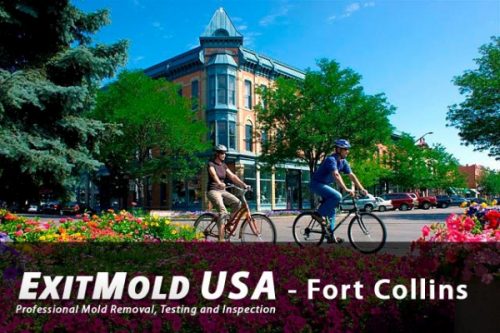 ExitMoldUSA Extends Mold Removal Services To Fort Collins, Colorado